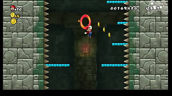 Nsmb wii any% speedrun