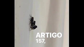 Conceição sentando na pika em pleno fim de semana