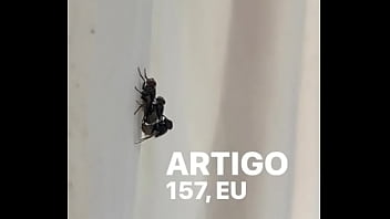 Conceição Sentando Na Pika Em Pleno Fim De Semana thumbnail