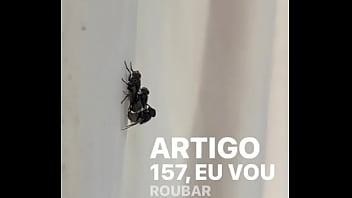 Conceição sentando na pika em pleno fim de semana