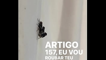 Conceição sentando na pika em pleno fim de semana