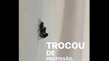 Conceição sentando na pika em pleno fim de semana