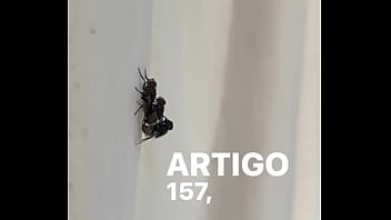 Conceição sentando na pika em pleno fim de semana