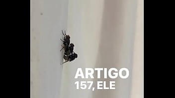 Conceição Sentando Na Pika Em Pleno Fim De Semana thumbnail