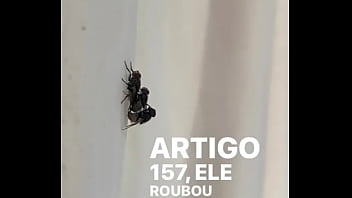 Conceição sentando na pika em pleno fim de semana