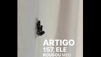 Conceição sentando na pika em pleno fim de semana