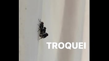 Conceição sentando na pika em pleno fim de semana