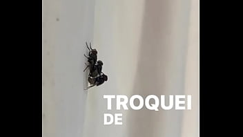 Conceição Sentando Na Pika Em Pleno Fim De Semana thumbnail