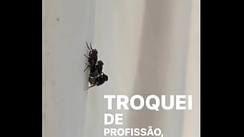 Conceição sentando na pika em pleno fim de semana