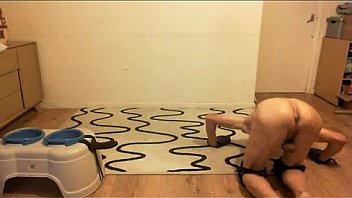 Puppy tigger's training session with sirguym part 1