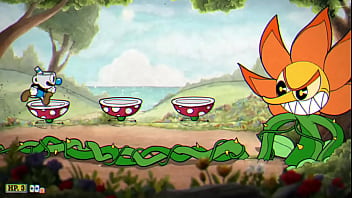 All boses cup medium All boses cup medium