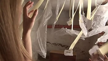 Sabrina white gets assfucked by two masked guys in an abandoned building Sabrina white gets assfucked by two masked guys in an abandoned building