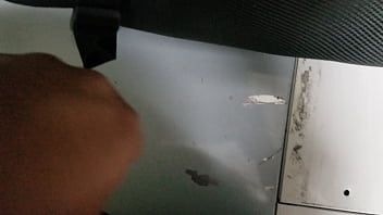 Asomando la cabecita rayada