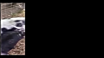 The muddy old funny creature and song