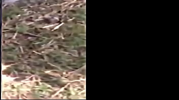 The muddy old funny creature and song