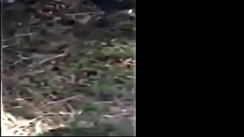 The muddy old funny creature and song