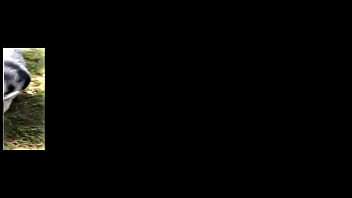 The muddy old funny creature and song