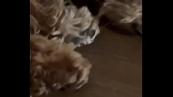 Rt if you want to be at producer’s placejasonxxxcarrera valentinoroca77 clemenceaudiard for enjoyx official