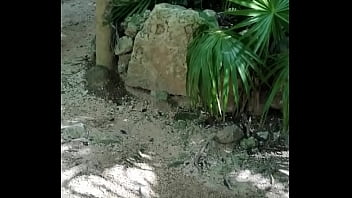 Se Da Cuenta thumbnail