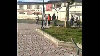 Inshot 20170131 194527