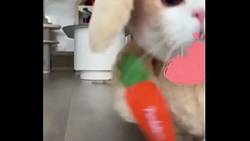 验证视频 验证视频