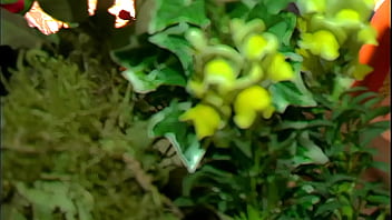 Bella marie wolf looks like a goddess and fucks like a horny slut