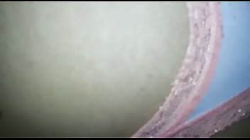 To meterle por el culo por atras antes de almorzar