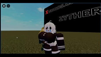 Vídeo de verificação