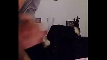 Vidange Burnes thumbnail