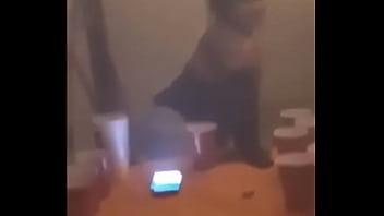 Brittney teaching the white hoe