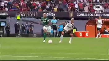 Flamengo tomando no cu