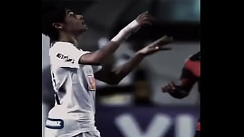 Vídeo de verificação