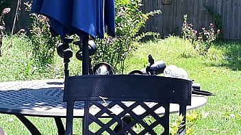 Hotwife steffi waters steffi's garden