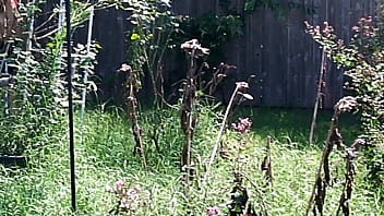 Hotwife steffi waters steffi's garden