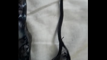 Esposa marrana nosé cambia la tanga en dias Esposa marrana nosé cambia la tanga en dias