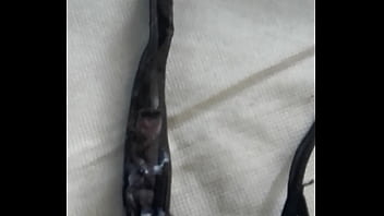 Esposa marrana nosé cambia la tanga en dias Esposa marrana nosé cambia la tanga en dias