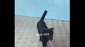 Подруги Воронеж