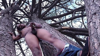 Climbing the wood Climbing the wood