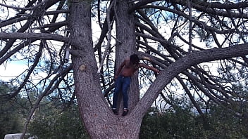 Climbing the wood Climbing the wood