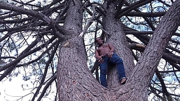 Climbing the wood Climbing the wood