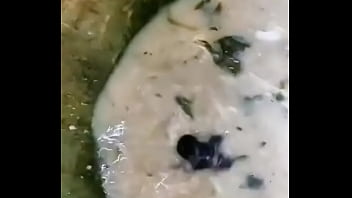 Mikey sendo fodido Mikey sendo fodido