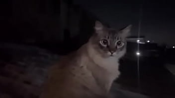 Organizando minha casa daquele jeitinho bem a vontade