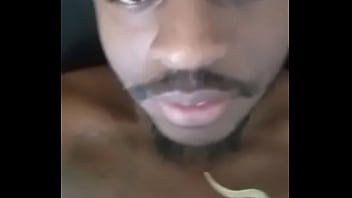 Other colors these scorpio zodiac animals show up in 2