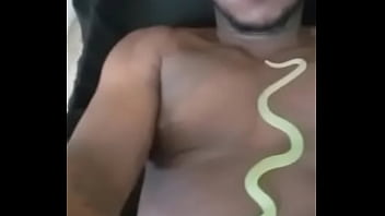 Other colors these scorpio zodiac animals show up in 2