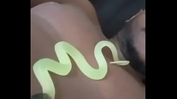 Other colors these scorpio zodiac animals show up in 2