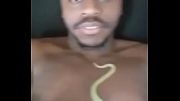 Other colors these scorpio zodiac animals show up in 2