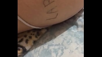 Vídeo de verificação