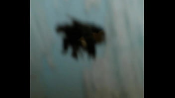 Latin apy cam in ecuador centro historico putas ecuatorianas