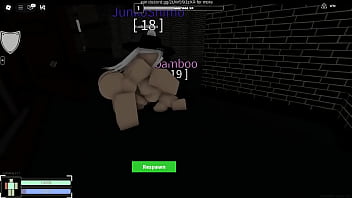 兽耳女孩的晚上