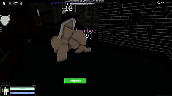 兽耳女孩的晚上